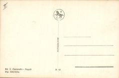 VINTAGE POSTCARD Volcan Napoli Pozzuoli will solfatara It