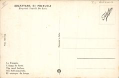 VINTAGE POSTCARD Volcano Naples Sulfur spring