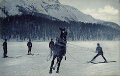 VINTAGE POSTCARD Winter sports Ski Horse