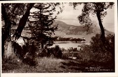 CPA Beaulieu Vue entre les oliviers