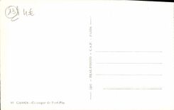 Cala de la grosella negra de la POSTAL de la VENDIMIA del pino portuario