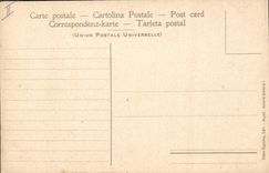 CPA Volcan Il Vesuvio in eruzione Aprile 1906