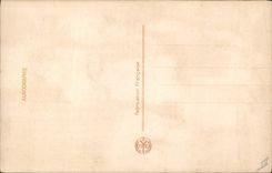 CPA Femme nu erotique 