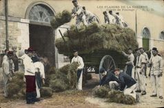 CPA Militaria Plaisirs de la caserne Corvee de fourrage 
