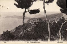 CPA Eze 