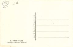 VINTAGE POSTCARD Falls of the Wolf the road of the jump of the wolf