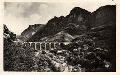 VINTAGE POSTCARD Falls Of the Wolf Panorama the Viaduct