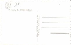 VINTAGE POSTCARD Falls Of the Wolf Entered