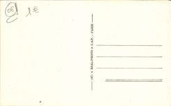 VINTAGE POSTCARD Falls Of the Wolf Road of the Wolf