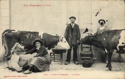 VINTAGE POSTCARD Standard Pyrenees Folklore Pyrenean Slags Cow TOP