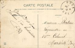 VINTAGE POSTCARD Standard Pyrenees Folklore Pyrenean Slags Cow TOP