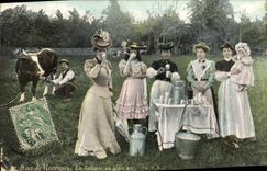 VINTAGE POSTCARD Wood of Vincennes dairy in the open air Cow