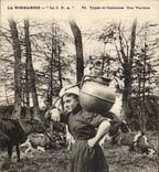 CPA Folklore Normandie Une vachere Vache TOP