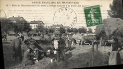 CPA Armee Francaise en manoeuvres Parc de ravitaillement de betail Soldats occupes a la traite Vaches TOP