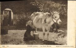 VINTAGE POSTCARD Julien Dupre the white cow Museum of Luxembourg Paris