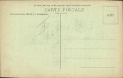 CPA Sports d'hiver Ski Les Alpes En luge descente rapide 