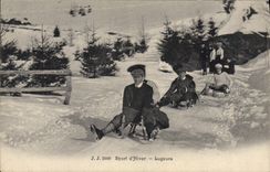 VINTAGE POSTCARD Winter sports Ski Tobogganists