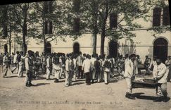 Cuarteles de Militaria de la POSTAL de la VENDIMIA reexaminados de cueros