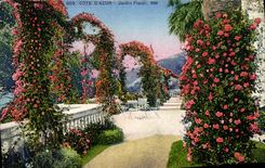 CPA Cote d'Azur Jardin fleuri
