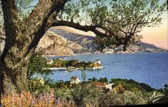 CPA Beaulieu Sur Mer La Pointe Fourmie