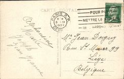 VINTAGE POSTCARD Versailles Seen from as the crow flies on the park the castle and the city