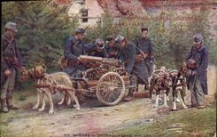 CPA Chien Chiens Mitrailleurs belges Militaria Publicite alcool de menthe eau de Melisse Carmes Frere Mathias Marseille