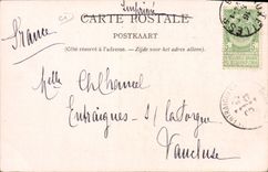 VINTAGE POSTCARD Dog Dogs Coach of Flemish dogs