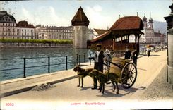 VINTAGE POSTCARD Dog Dogs Luzern Kapellbrucke Lucerne TOP