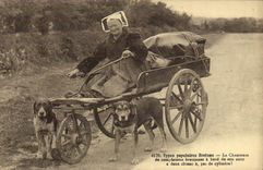 VINTAGE POSTCARD Dog Breton popular Standard Dogs the singer of Breton laments TOP