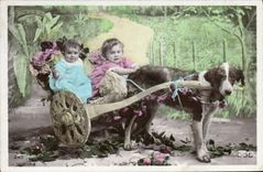 CPA Chien Chiens Enfant 
