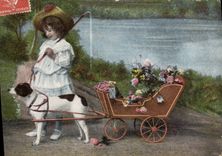 CPA Chien Chiens Enfant 