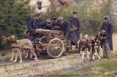 CPA Chien Chiens Mitrailleuses Belges Militaria 