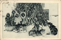 VINTAGE POSTCARD Dog Dogs the refrigerator in Alaska a seal for the Husky missionary