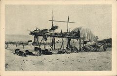 VINTAGE POSTCARD Dog Dogs the coach express train of the mission of Mary' S Alaska igloo