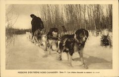 VINTAGE POSTCARD Chien Dogs Mission of extreme Canadian North the dogs fit get under way