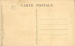 VINTAGE POSTCARD Chien Dogs With the polar ices Chiens fit their leather shoes