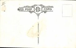 VINTAGE POSTCARD Illustrator Gentlemen civil Defense Toilets