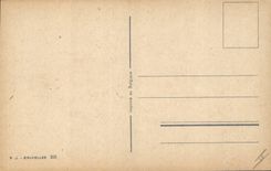 CPA Illustrateur Animal venimeux femelle 