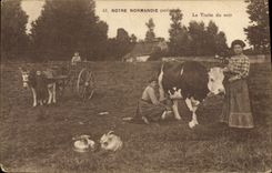 CPA Folklore Lait Normandie La traite du soir Vache Ane Attelage 