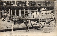 CPA Folklore Lait Vichy Laitiere Bourbonnaise Ane Mule TOP