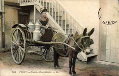 CPA Folklore Lait Vichy Laitiere Bourbonnaise Ane Mule TOP 