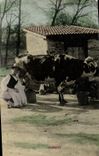 CPA Folklore Lait Femme Laitiere Vache 