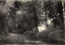 VINTAGE POSTCARD Montfort Amaury Way of Bluze