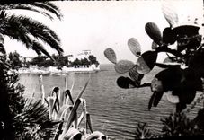 CPM Beaulieu Villa Grecque