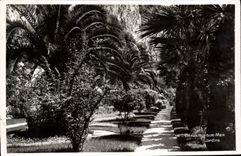 MODERN CARD Beaulieu on Sea Gardens