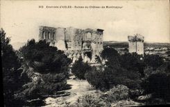 CPA Environs d'Arles Ruines du Chateau de Montmajour