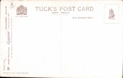 VINTAGE POSTCARD Woman Fido Dog