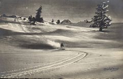 CPA Sports d'hiver Ski 