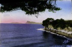 CPM la Ciotat L'ile verte vue du Liouquet