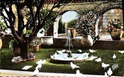 CPM Saint Paul La Colombe d'or Jardin provencal